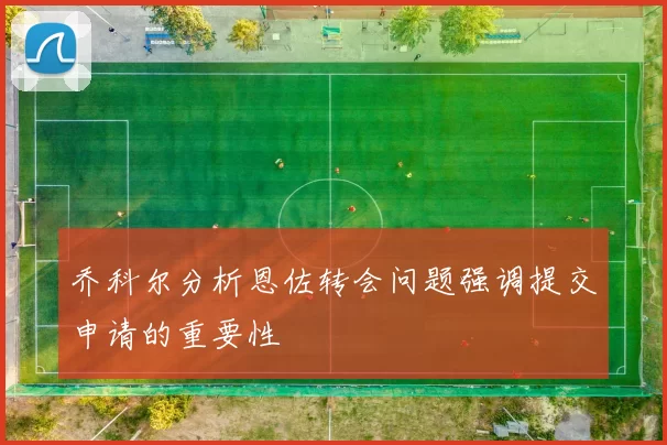 乔科尔分析恩佐转会问题强调提交申请的重要性